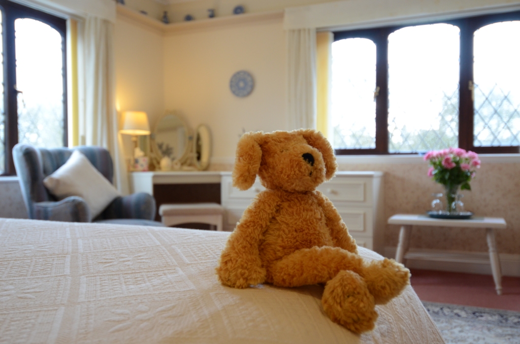 Teddy bear